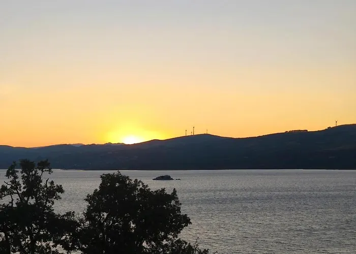 New Riyork Sweet * 제어스